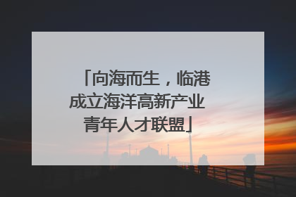 向海而生，临港成立海洋高新产业青年人才联盟